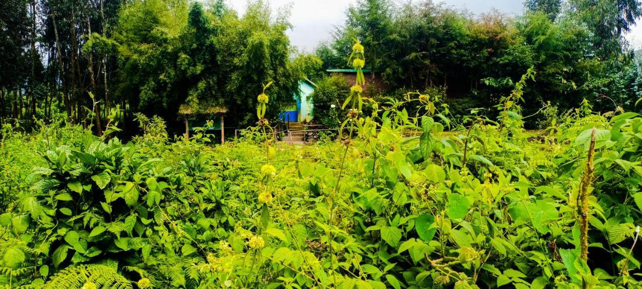 Under Volcanoes View Guest House Nyarugina Luaran gambar