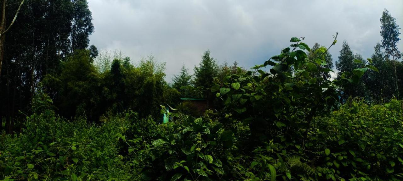 Under Volcanoes View Guest House Nyarugina Luaran gambar