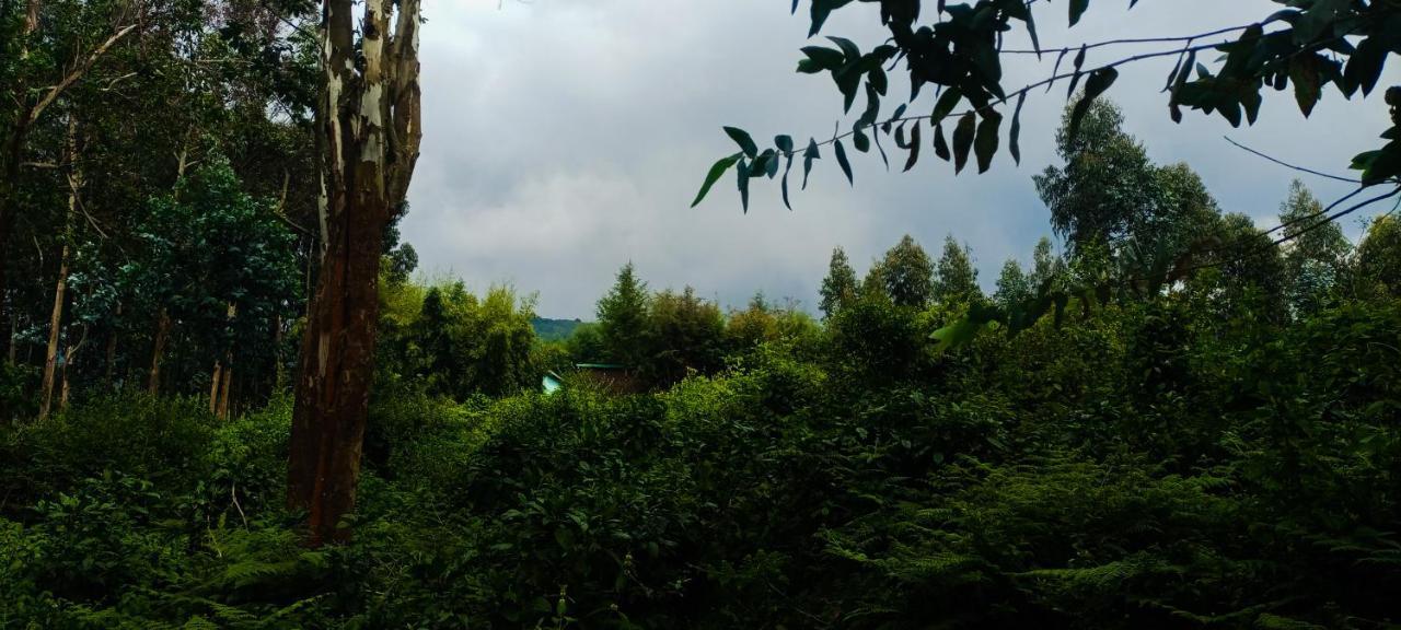 Under Volcanoes View Guest House Nyarugina Luaran gambar